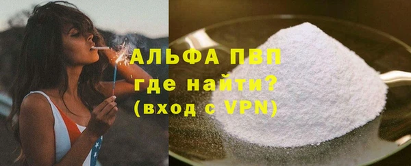 прущие грибы Касимов