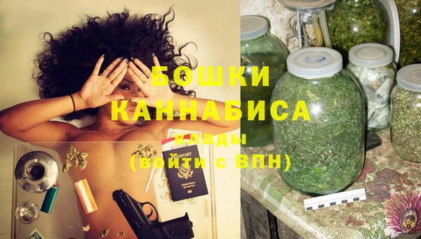 прущие грибы Касимов