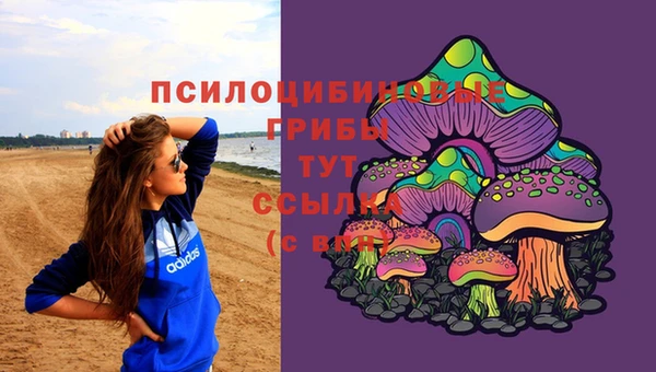 прущие грибы Касимов